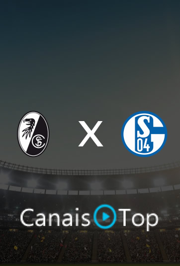 Freiburg x Schalke 04 – Ao Vivo – 11/10/2026 – 12h30